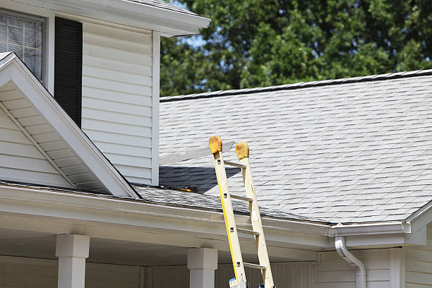 Best Construction Debris Removal  in Hawi, HI